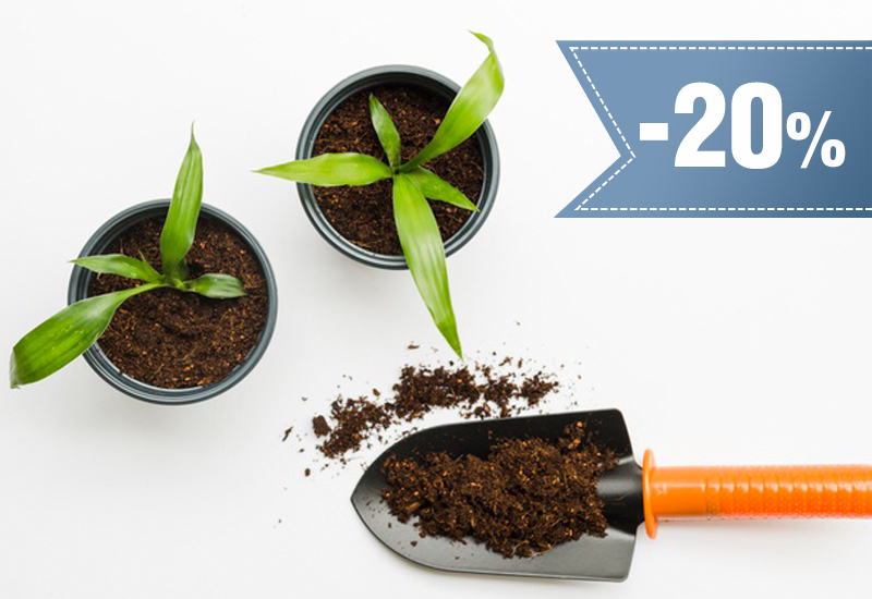20% rabatu na doniczki
