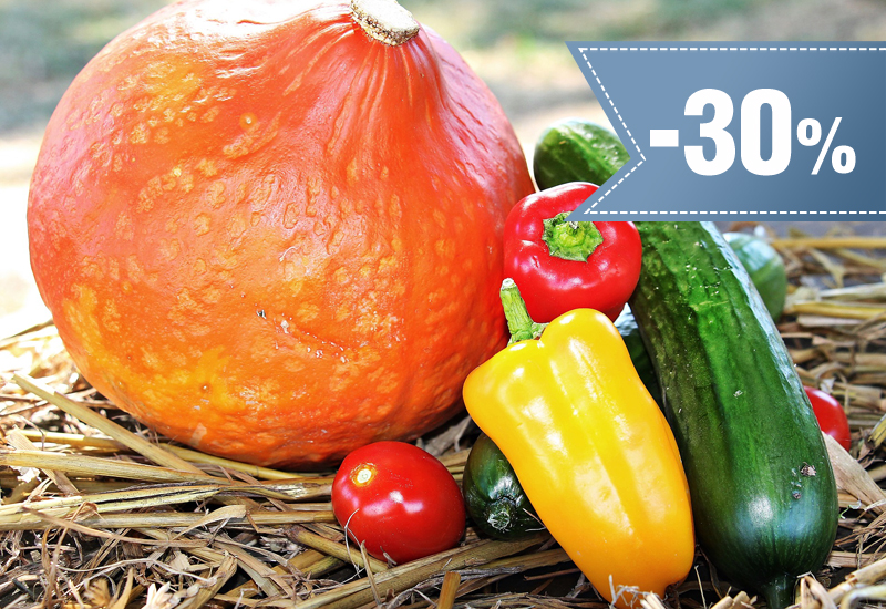 30% rabatu na konsultacje i jadłospisy