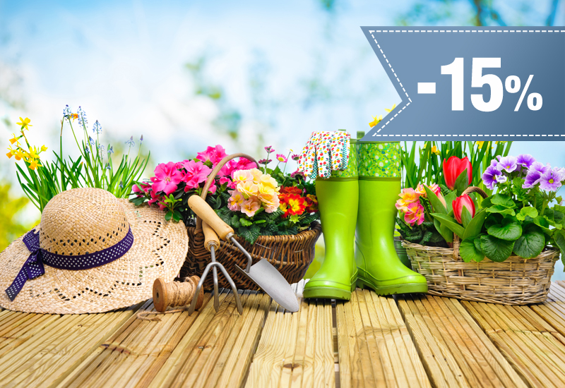 15% rabatu na cały asortyment
